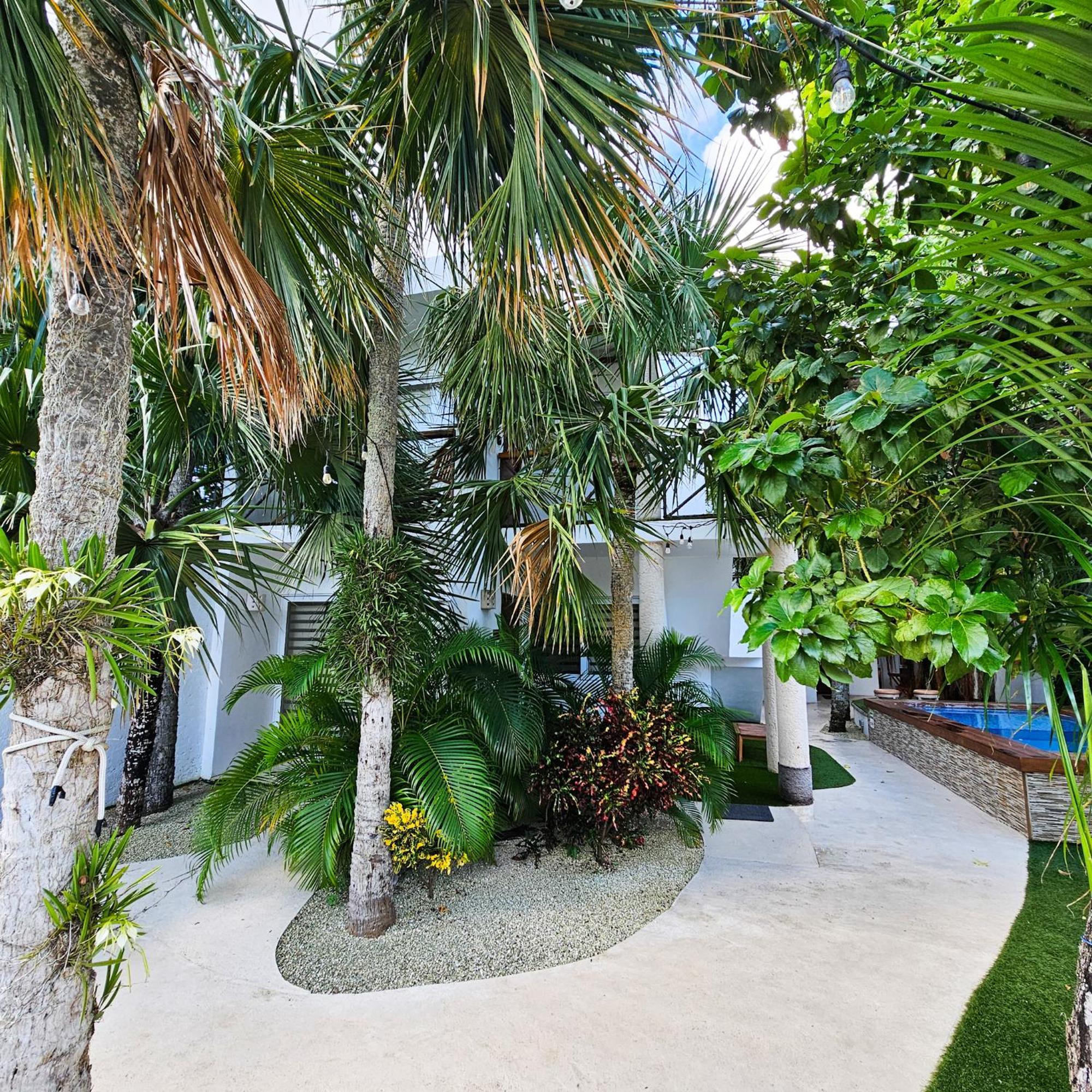 Sayu - Suites Cozumel Ngoại thất bức ảnh